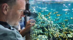 Uncovering the Hidden Impacts of Microplastics on Marine Life