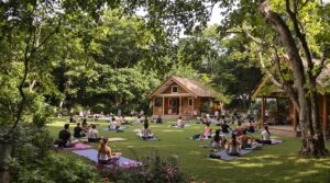 Digital detox retreats surge in popularity as smartphone fatigue intensifies