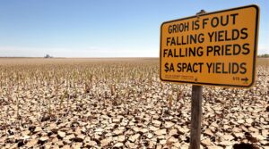 How a drought in the Midwest is affecting global food prices