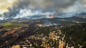 Heat insurance pilots expand as insurers retreat from wildfire-prone regions