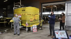 Global bird flu spread reaches dairy farms, triggering new safety measures and vaccine debates