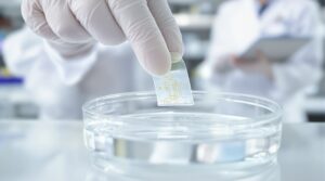 Biodegradable electronic sensors that safely dissolve after use promise cleaner medical and environmental monitoring